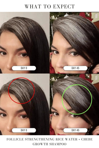 Follicle Strengthening Rice Water + Chebe Growth Shampoo