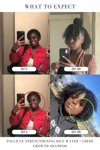 Follicle Strengthening Rice Water + Chebe Growth Shampoo